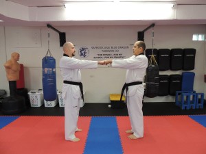 One step sparring measure distance